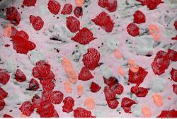 Photo Textures of Paint